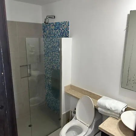 Apartamento Baldosa Palmetto Eliptic